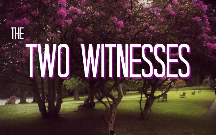 Threading the Pearls of Revelation, Session 22: The Two Witnesses